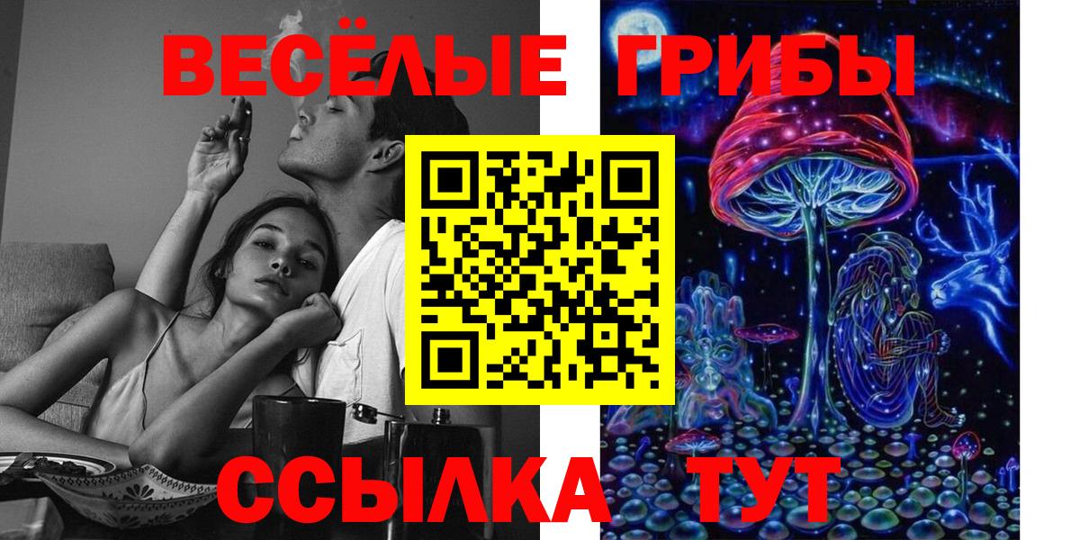 сколько стоит  Вход с VPN  Минеральные Воды  Псилоцибиновые грибы мицелий 