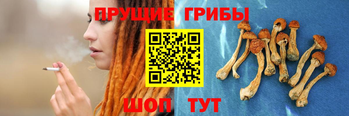 Галлюциногенные грибы Psilocybine cubensis Минеральные Воды